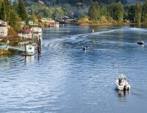 nehalem bay