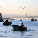 Sports fishermen congregate in Tillamook Bay.