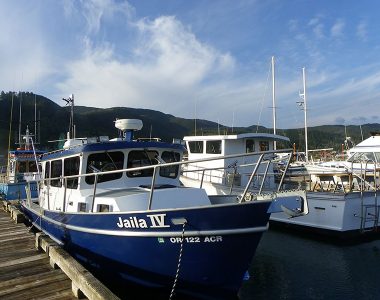 Garibaldi-Harbor-Boats-LeeAnn-Neal