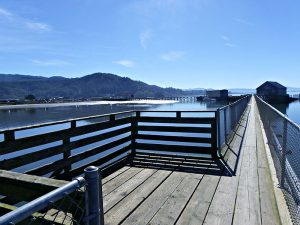 Pier's End Photo by LeeAnn Neal